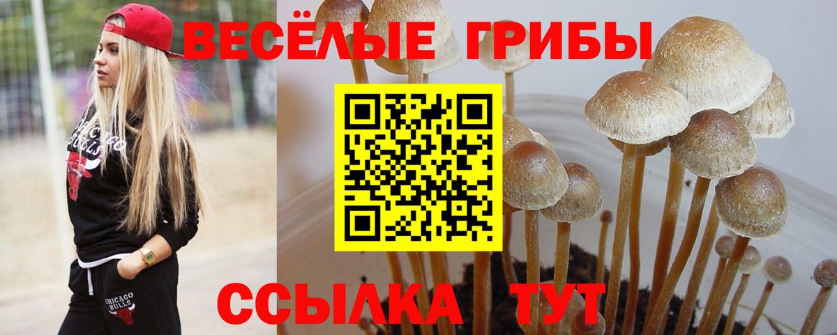 Меф Лесной
