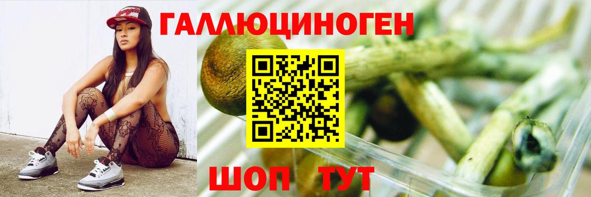 Псилоцибиновые грибы мухоморы Лесной
